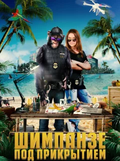 Шимпанзе под прикрытием