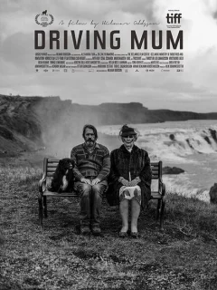 Поездка с мамой