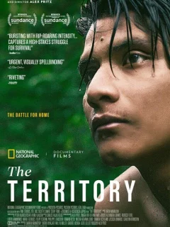 Территория