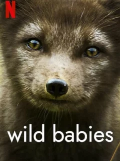 Детки не в клетке