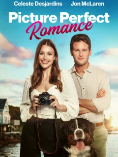 Идеальный роман