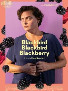 Дрозд, дрозд, ежевика