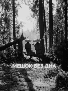 Мешок без дна