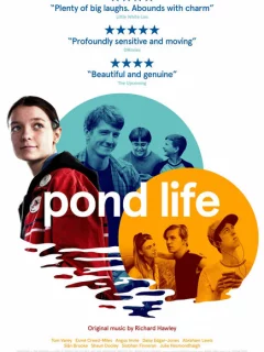 Жизнь в пруду