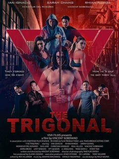 Тригонал: Борьба за справедливость