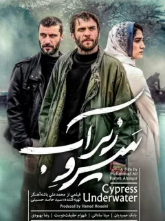 Кипарис под водой