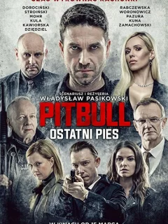 Питбуль. Последний пёс
