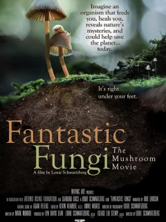 Фантастические Грибы