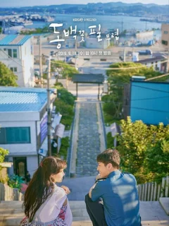 Когда цветёт камелия