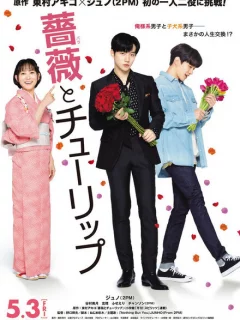 Роза и тюльпан