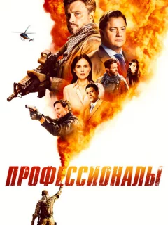 Профессионалы