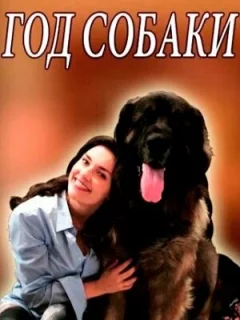 Год собаки