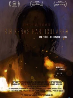 Без особых примет