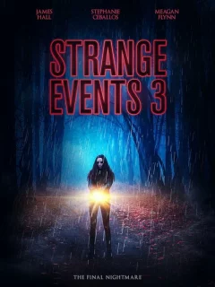 Странные дела 3