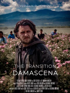 Дамасцена. Перерождение