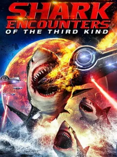 Акульи контакты третьей степени