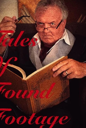 Истории найденных видеозаписей