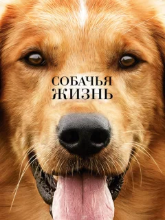 Собачья жизнь