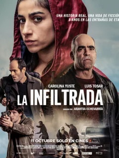 Под прикрытием