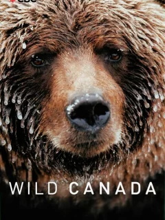 Дикая Канада