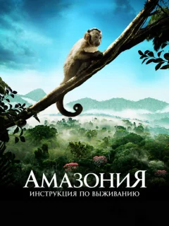 Амазония: Инструкция по выживанию