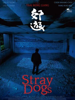 Бродячие псы