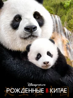 Рождённые в Китае