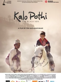 Чёрная курица