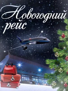 Новогодний рейс