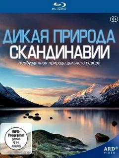 Дикая природа Скандинавии